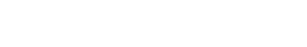 Salient Logo